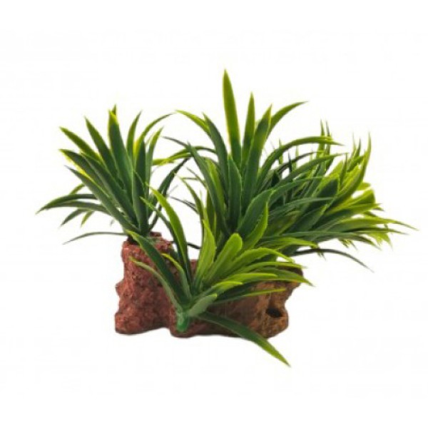 ΔΙΑΚΟΣΜΗΤΙΚΟ ΦΥΤΟ ΕΝΥΔΡΕΙΟΥ 1Χ7CM